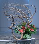 36 - Sarah Thoppil.jpg 5.6K